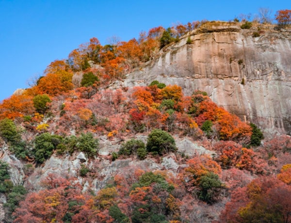 岩殿山